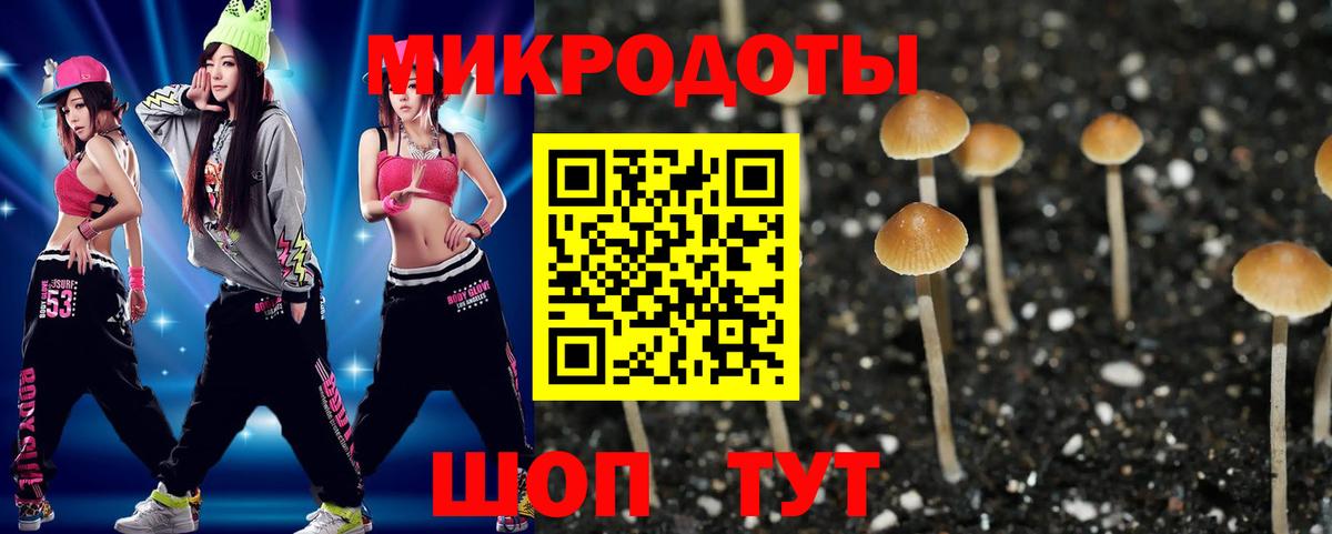 Галлюциногенные грибы прущие грибы  купить наркотики сайты  Реж  Галлюциногенные грибы Psilocybine cubensis  Вход с VPN 