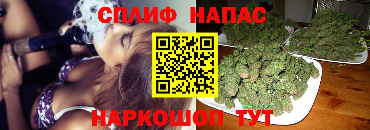 Бошки Шишки марихуана  Каннабис план  Конопля гибрид  Вход с VPN  Реж 